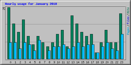 Hourly usage for January 2010