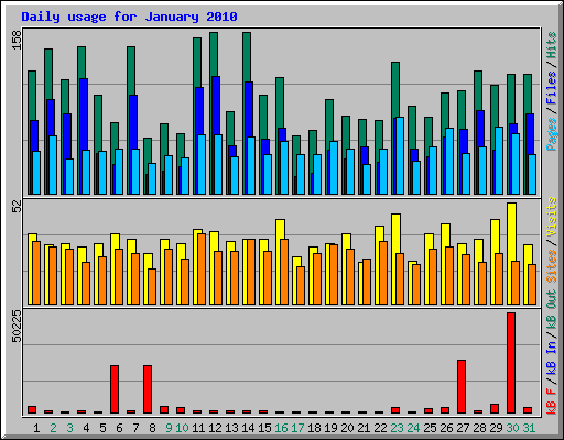 Daily usage for January 2010